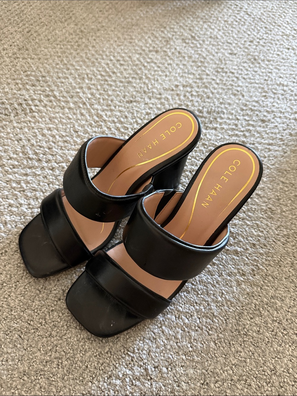 Cole Haan Black Leather Double-Strap Block Heel Sz 5.5